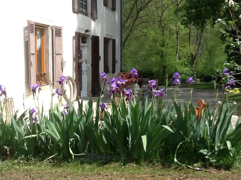 Domaine La Rose Bed and Breakfast Caylus Exteriör bild